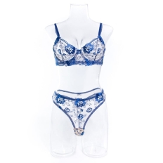 2 Piece Set Bra Sexy Lingerie Women Embroidered Flower Patchwork Mesh See-through Briefs Blue and White Porcelain Underwear