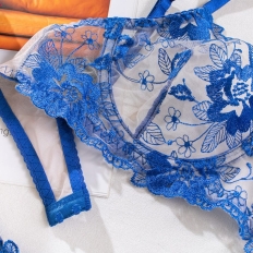 2 Piece Set Bra Sexy Lingerie Women Embroidered Flower Patchwork Mesh See-through Briefs Blue and White Porcelain Underwear