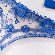 2 Piece Set Bra Sexy Lingerie Women Embroidered Flower Patchwork Mesh See-through Briefs Blue and White Porcelain Underwear